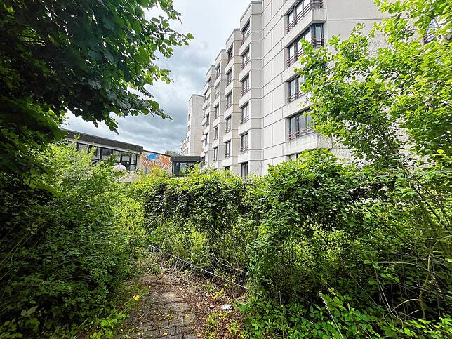 Hier befand sich der Zugang zum Haupteingang zur früheren Hochrhein-Eggbergklinik, mittlerweile wuchert auch hier üppige Vegetation.