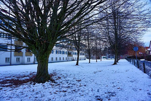 Zwischen Ekkehardstraße und Notkerweg ist eine große Wiese mit Bäumen, die der BImA gehört. Viel Platz für Neubauten, wenn es denn ...