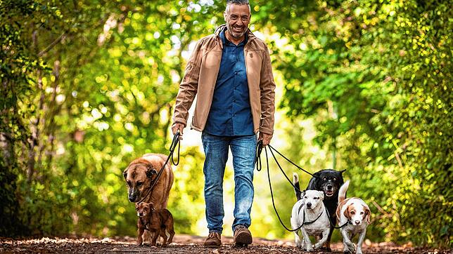 Der Brückenbauer: TV-Coach Andreas Ohligschläger (bekannt durch die WDR-Sendung &bdquo;Hunde verstehen!&ldquo;) zeigt, wie Mensch und ...
