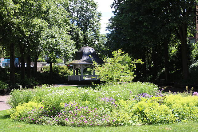 So schön blüht es derzeit im Radolfzeller Stadtgarten. Entlang der Wege sind zahlreiche Pflanzen zu bewundern
