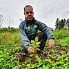Tobias Kühn zeigt im Juli 2021 die mögliche Zukunft des Schwarzwalds: Auf einem Versuchsfeld bei Villingen sind jetzt auch für ...