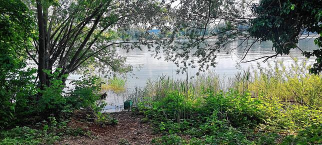 Eine Kiste Bier steht im kühleren Wasser des Seerheins am Grillplatz Stromeyersdorf.