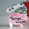 Geld für die Radolfzellerinnen und Radolfzeller: Die Stadt will ein Bürgerbudget einführen, mit dem Bürgerprojekte umgesetzt werden können.