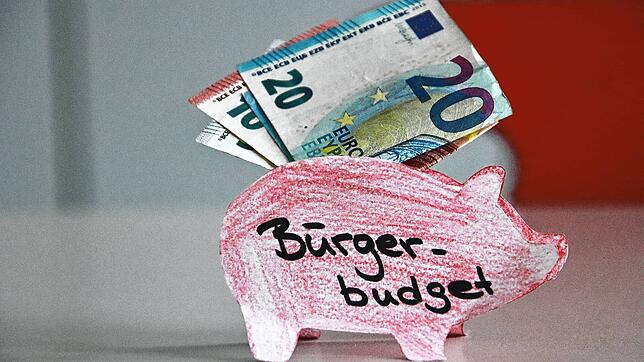 Geld für die Radolfzellerinnen und Radolfzeller: Die Stadt will ein Bürgerbudget einführen, mit dem Bürgerprojekte umgesetzt werden können.