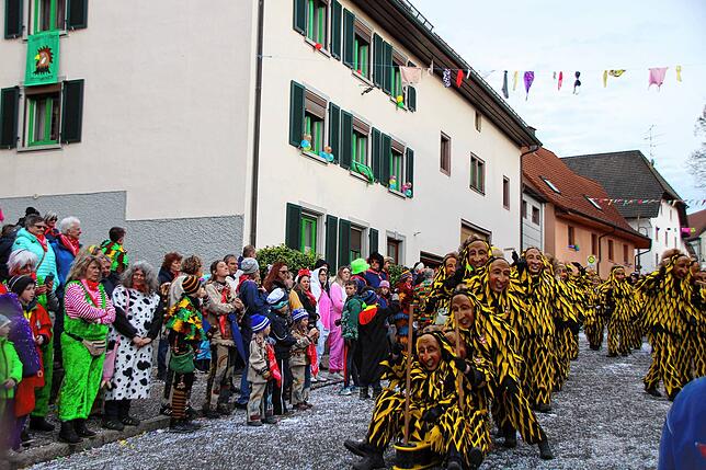 Bild 2: Bilder vom Umzug beim 35. Schlüchttalnarrentreffen &ndash; Teil 1