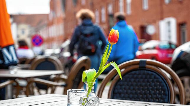 Auf einem Tisch vor einem Restaurant steht eine Blume. In vielen Teilen von Deutschland gelten bereits verschiedene ...