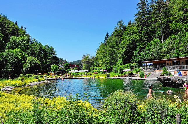 Der Naturena-Badesee in Ühlingen-Birkendorf.