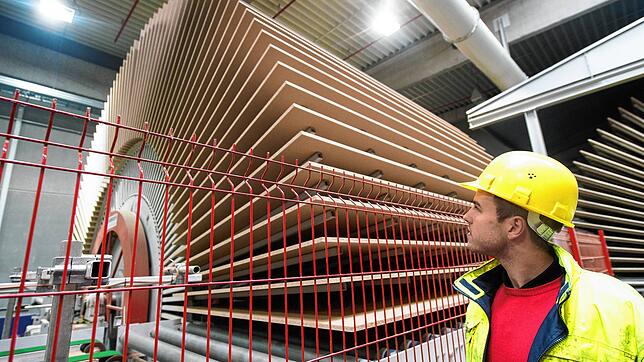 Ein Blick in die Spanplattenproduktion des Holzverarbeiters Pfleiderer in der Oberpfalz: Spanplatten sind derzeit Mangelware. Die ...