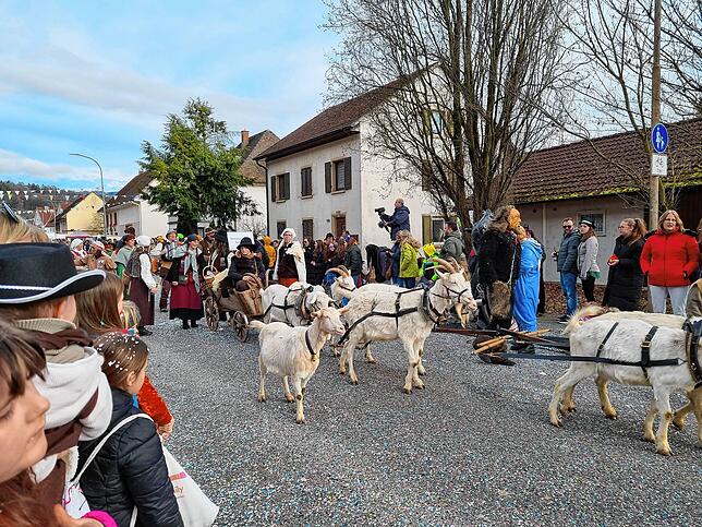 Bild 9: Spaß beim VHN-Narrentreffen: Bilder vom Umzug (1)