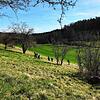 Kinder sollen die Natur mit allen Sinnen erleben können. Dafür engagiert sich der Rotary Club A81-Bodensee-Engen. Bild: Caroline Geyer