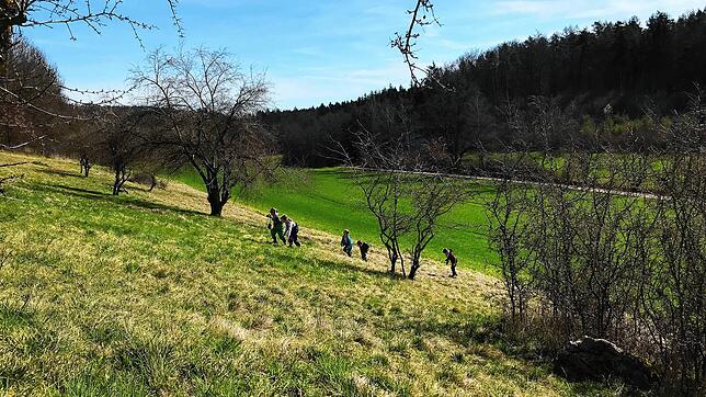 Kinder sollen die Natur mit allen Sinnen erleben können. Dafür engagiert sich der Rotary Club A81-Bodensee-Engen. Bild: Caroline Geyer