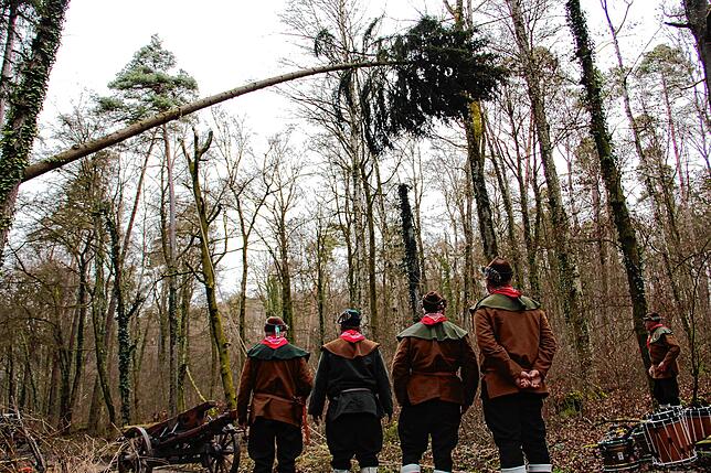 Bild 6: Die spektakulären Narrenbaum-Momente aus dem Altbohlwald: Holzhauer der Narrizella Ratoldi schlagen zu