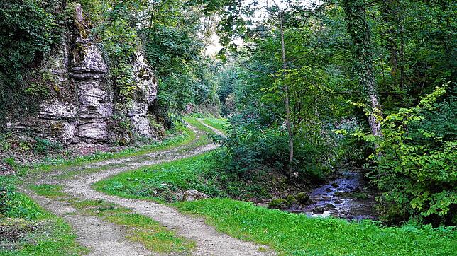 Die Tengener Mühlbachschlucht ist ein Wandererlebnis, bei dem man einen 13-Meter-Wasserfall bestaunen kann. Unten in der Schlucht ...