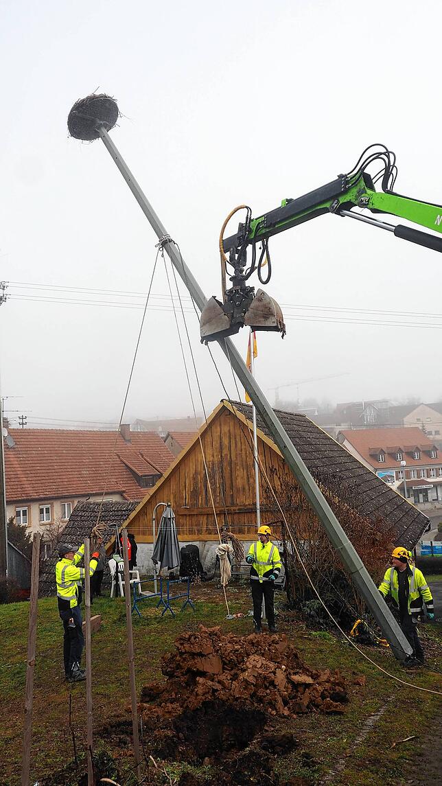 Mitarbeiter des Netzbetreibers setzen den Mast mit Storchennest.