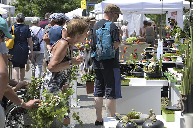 Reichlich Auswahl: Auf dem Töpfermarkt boten über 70 Kermarikwerkstätten ihre Waren an. Die Händler kamen aus neun europäischen Staaten.