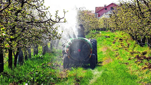 Plantagenkulturen: Sie gelten als spritzmittelintensiv. Wenn es zu nass ist, muss mehrmals nachgespritzt werden