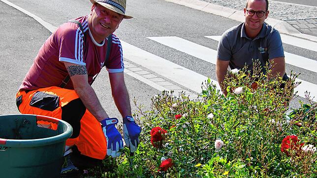 SÜDKURIER-Redakteur Dirk Thannheimer (links) und Bauhof-Mitarbeiter Maximilian Vogler pflegen gemeinsam das Beet am alten Spital.