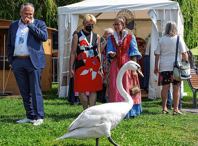 Bild 1: Bilder vom Trachtentag der Heimattage Baden-Württemberg 2021 in Radolfzell