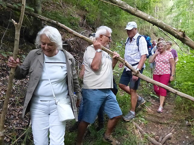 Bild 17: Bilder der &bdquo;Aktion Wanderlust&ldquo; von Verschönerungsverein und SÜDKURIER Überlingen