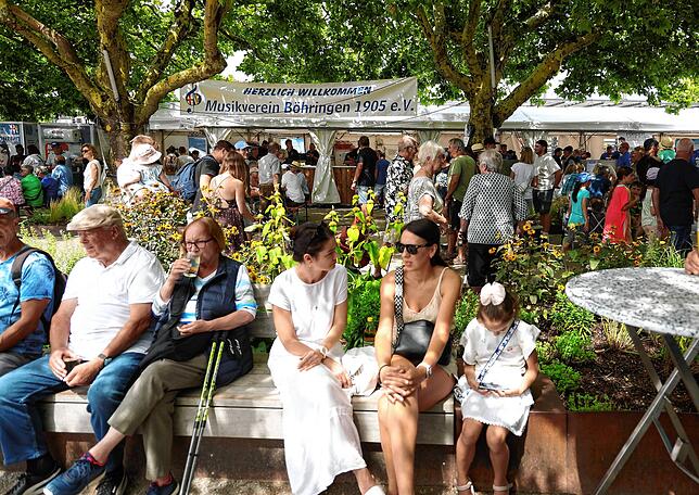 Bild 14: So schön war es auf dem Hausherrenfest am Radolfzeller Seeufer