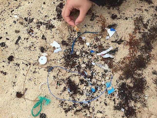 Auf Bermuda schauten die Jugendlichen genau hin und fanden auch an einem scheinbar sauberen Strand allerlei Müll. Dazu gehörten auch ...