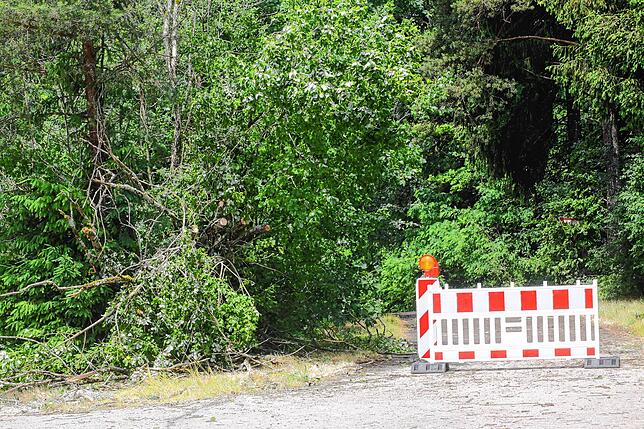 Der Hechelner Wald wurde aufgrund einer Vielzahl von umgestürzten Bäumen vorübergehend durch die Gemeinde Mühlingen gesperrt.