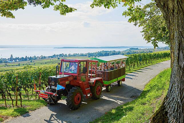 Hagnau ist die Stadt der Winzer und Weine – Genießer kommen hier garantiert auf ihre Kosten.