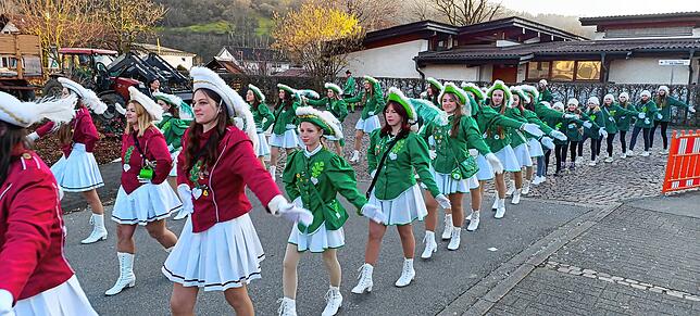 Bild 3: Die schönsten Bilder der Straßenfasnet in Oberlauchringen