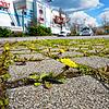 Viel Grün gibts nicht auf dem Parkplatz des Bodensee-Centers. Der Eigentümer soll für mehr Aufenthaltsqualität sorgen &ndash; und Geld ...