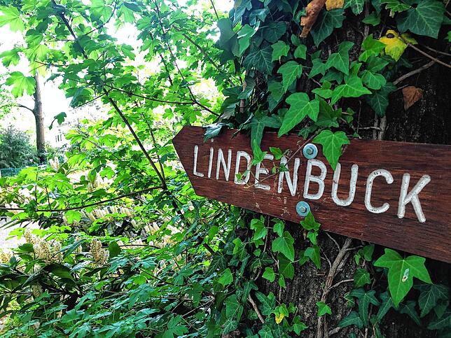 Bild 8: Wandern vor der Haustür (Teil 1): Durch den Bärlauchwald zum Waldshuter Lindenbuck