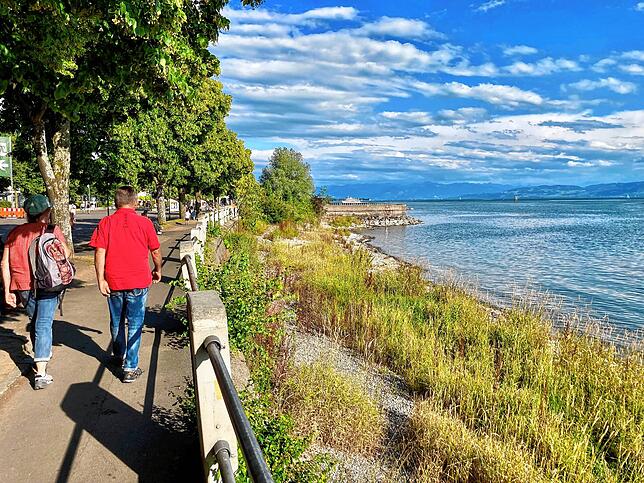 Heute: Die Uferpromenade in Friedrichshafen mit der prächtigen Baumallee ist beliebt, aber inzwischen stark sanierungsbedürftig.