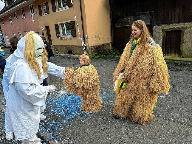 Bild 46: Spaß beim VHN-Narrentreffen: Bilder vom Umzug (1)