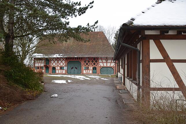 Schloss Hohenfels im Januar 2019. Haus Josenberg rechts, hinten die Zehntscheuer. Bild: Ramona Löffler