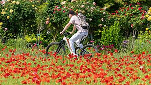 Es wird sehr warm in Baden-Württemberg. (Foto-Aktuell)