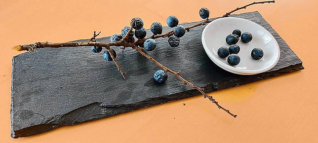 Bild 1: Die Schlehe ist ein Superstrauch: Blüten, Beeren, Blätter und sogar das Holz lassen sich verwerten