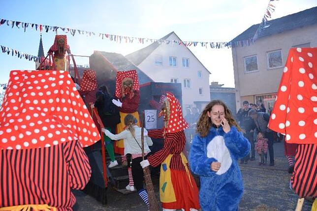 Bild 1: Bilder vom Narrentreffen der Urviecher-Zunft Bad Dürrheim: Großer Festumzug (4)