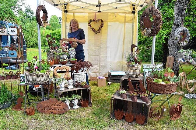 Bild 38: Ein Markt rund um die Rose: Nöggenschwieler Rosentage zeigt sich in Blütenpracht