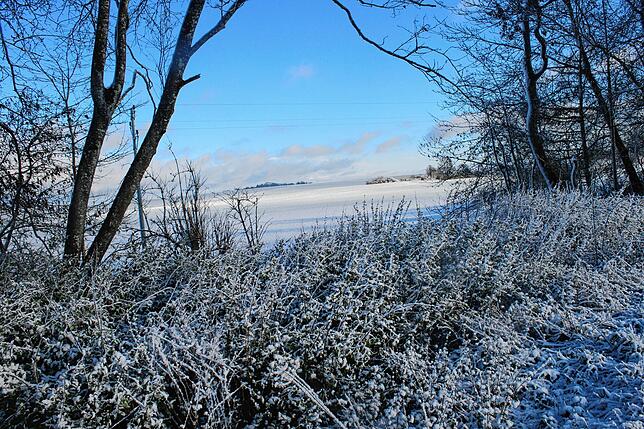 Blauer Himmel und Schnee, es gibt nichts Schöneres