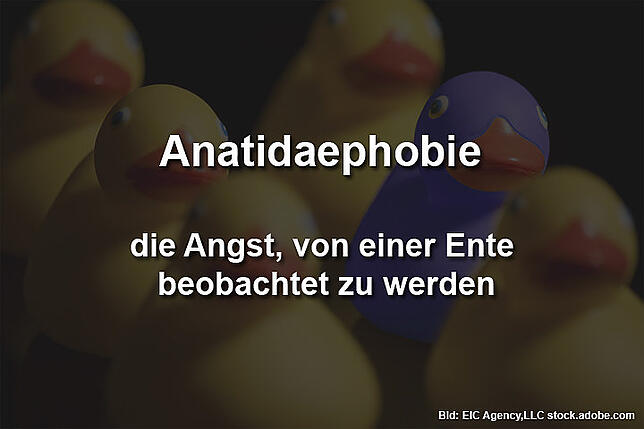 Bild 1: Von Enten, Erdnussbutter und schönen Frauen: Zehn skurrile Phobien, die Menschen das Leben schwer machen