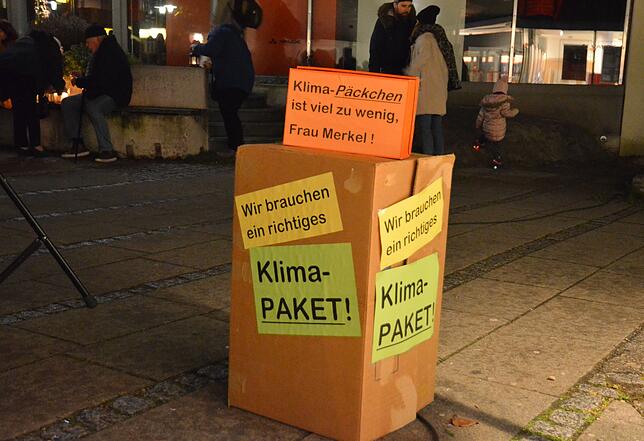 Bild 3: Bilder von der zweiten Klima-Demo in der Markdorfer Innenstadt