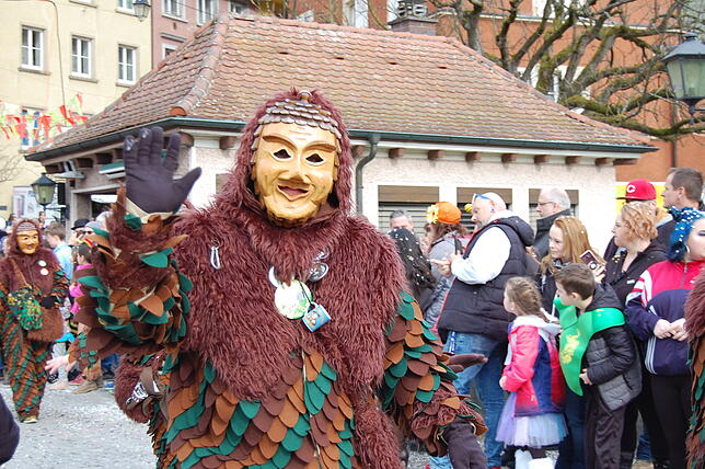 Bild 13: Bilder vom Fasnachtsumzug in Laufenburg (2)
