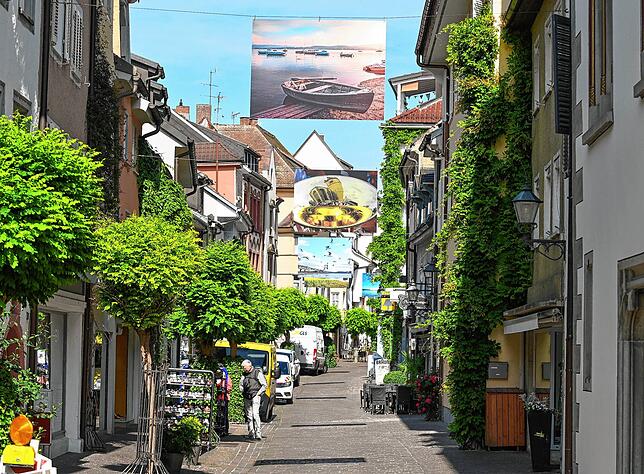 Im Sommer waren in der Freiluftgalerie in der Seestraße schöne Fotomotive zu bewundern. Die hätten eigentlich aber schon früher dort ...