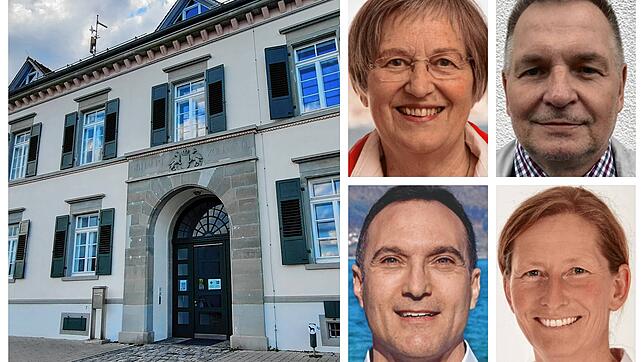 Sie werden ab nächstem Jahr ohne den altbekannten Bürgermeister auskommen müssen: Links das Rathaus in Ludwigshafen. Obere Reihe: ...