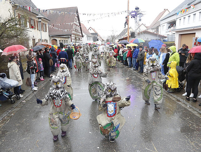 Bild 9: Bilder zum großen Narrentreffen in Pfohren (1)