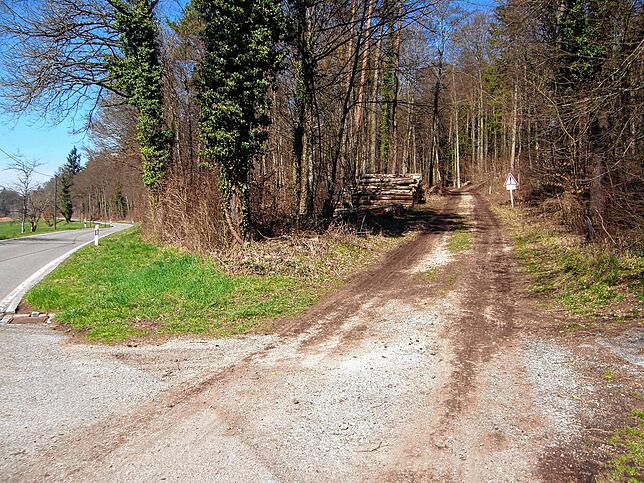 Der Radweg von Kaltbrunn zum Wildpark könnte laut dem aktuellen Vorschlag des Landkreises erst hier am Waldanfang beginnen. Der ...