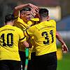 Viel Grund zum Jubeln hatte der Bezirksliga-Spitzenreiter vom Bodensee. Die Spieler des FC Öhningen-Gaienhofen feierten einen 5:2-Sieg ...