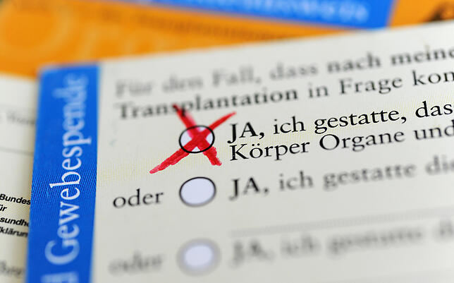 Die Rückseite eines ausgefüllten Organspendeausweises. Das Zustimmungsfeld ist angekreuzt.