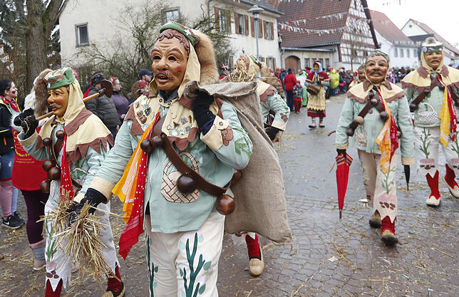 Bild 16: Bilder zum großen Narrentreffen in Pfohren (4)