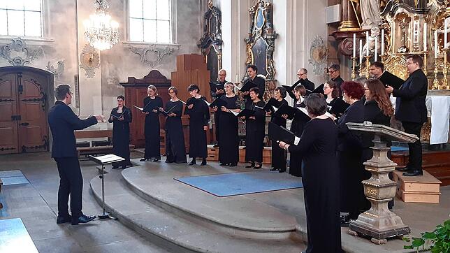 Das Vokalensemble Konstanz gibt in der katholischen Pfarrkirche Mariä Himmelfahrt ein Benefizkonzert zugunsten der neuen Orgel. Foto: ...