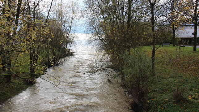 Nach dem Unwetter am Sonntag tritt Wasser der Rotach beinahe über das Ufer. Bild: Luisa Hagg